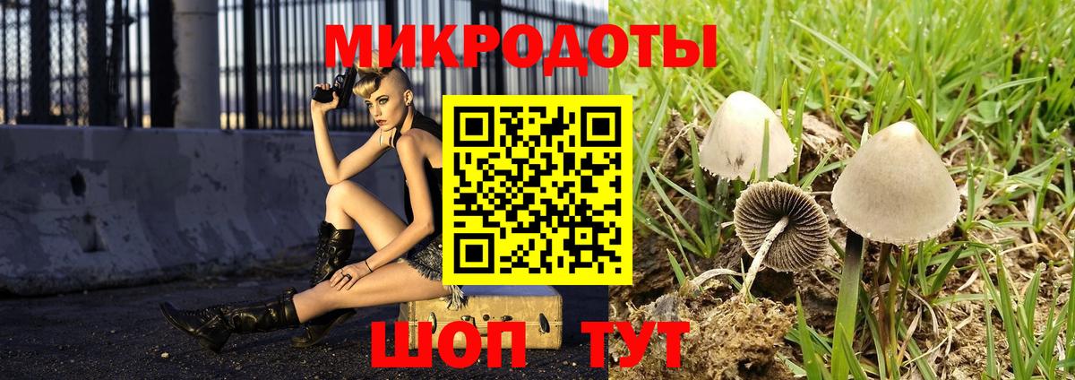 Чусовой  Галлюциногенные грибы Cubensis  Вход с VPN  Псилоцибиновые грибы Cubensis 